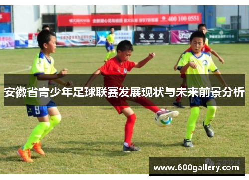 安徽省青少年足球联赛发展现状与未来前景分析